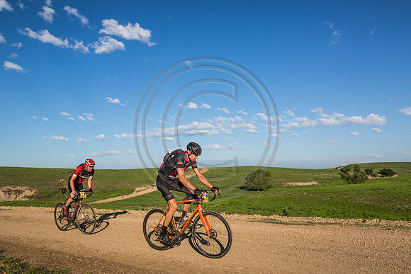 _MG_0235-2