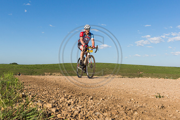 _MG_0356-2