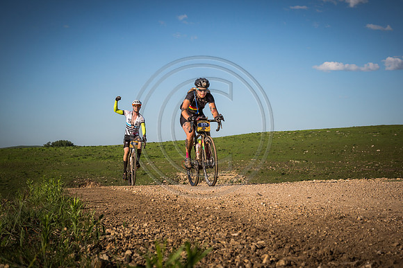 _MG_0343-2