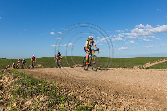 _MG_0369-2
