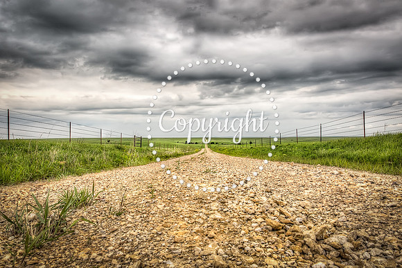 Long Road