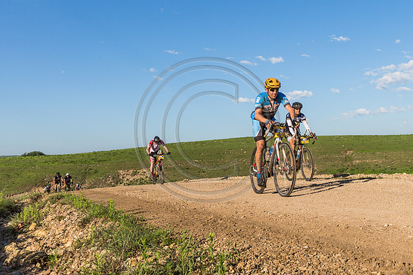 _MG_0312-2