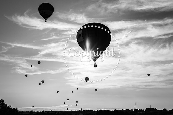 _MG_0193