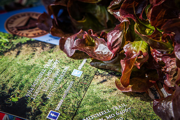 20140517 farmers mkt-9