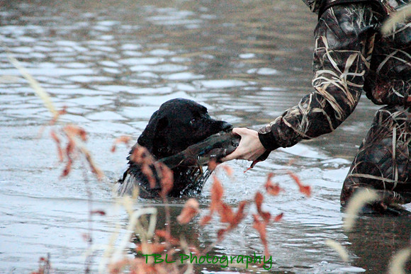 Klima duck hunt_20101122_0074