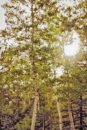 hancock lake-11