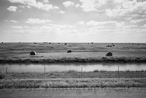 Out of the Car Window