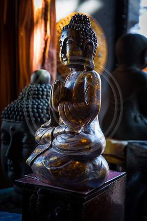 Silk Road Travelers