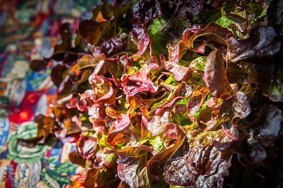 20140517 farmers mkt-8