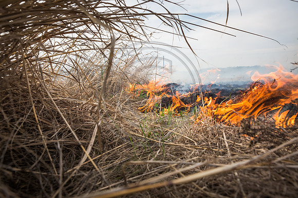 20170408 flames in the flinthills-64