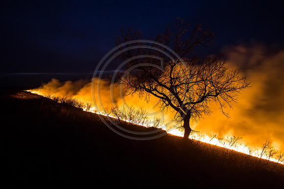 20170408 flames in the flinthills-392