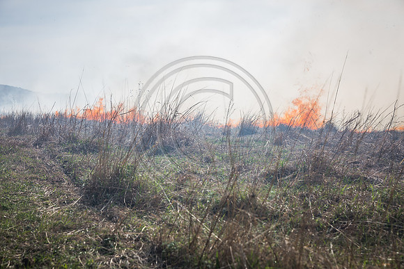 20170408 flames in the flinthills-393-2