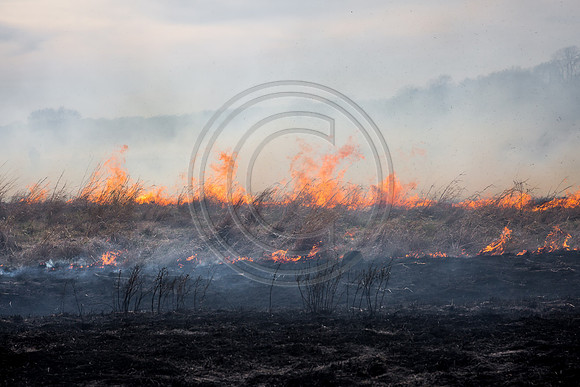 20170408 flames in the flinthills-446-2