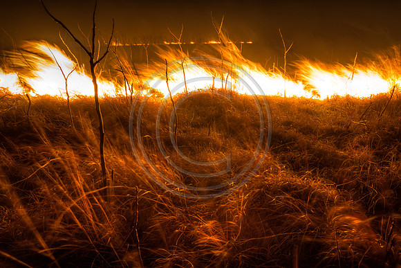 20170408 flames in the flinthills-544_45_46_47_48_49_50