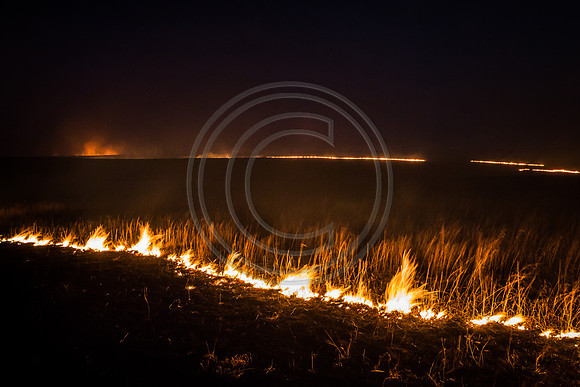20170407 flames in the flinthills-151