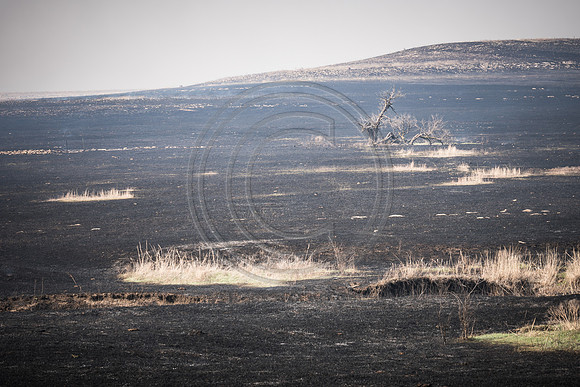 20170408 flames in the flinthills-14-2