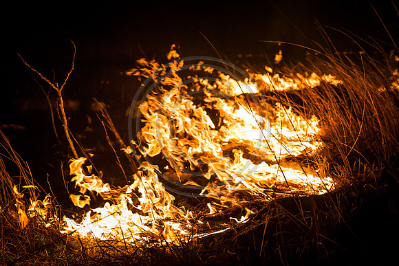20170408 flames in the flinthills-32