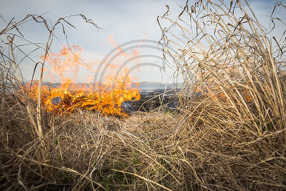 20170408 flames in the flinthills-96