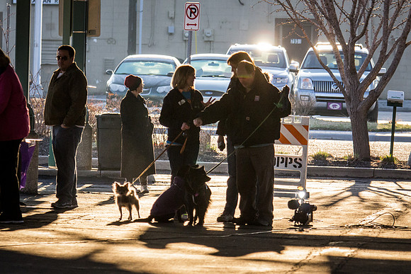 dog day 04052014-2