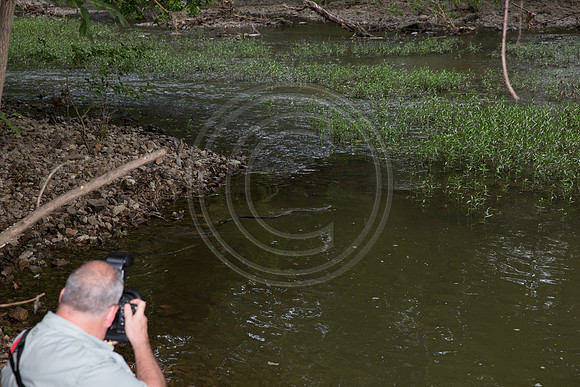 Water Crossing 139mm (17 of 155)