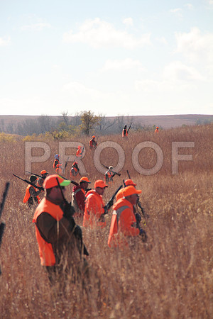 Concordia pheasant hunting