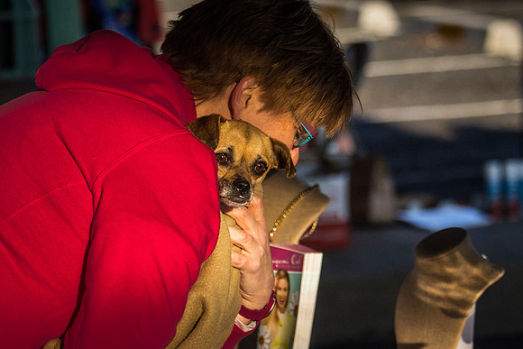 dog day 04052014-6