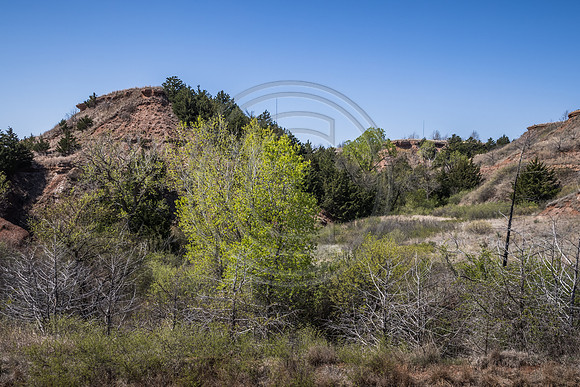 2021 Open Range-311