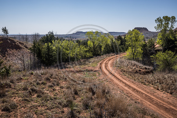 2021 Open Range-310