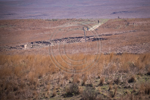 2021 Open Range-303