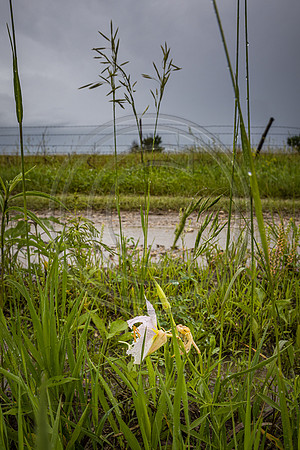 untitled-111