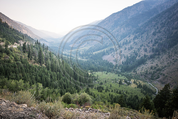 RPI Landscapes (1 of 4)