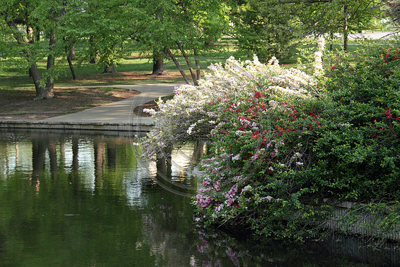 loosepark 2011may1