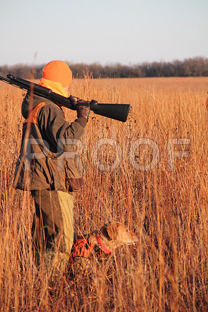 Concordia pheasant hunting