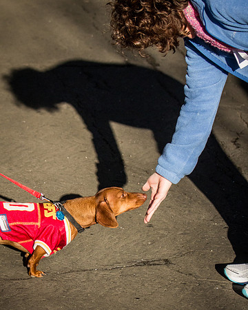dog day 04052014-8