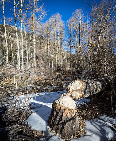 untitled-68-Pano