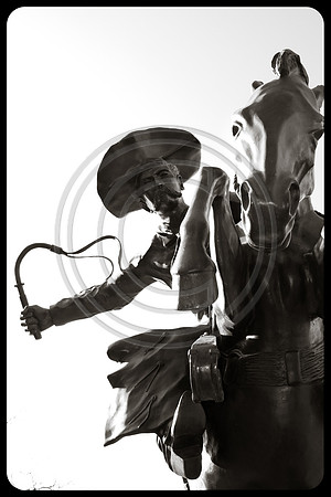 Bronco Buster - interpreted