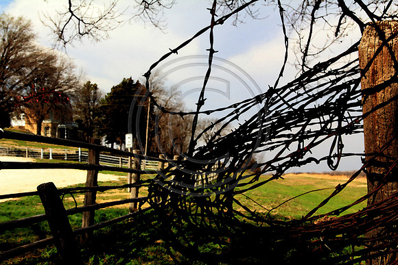 barb wire