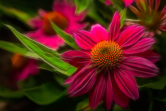 Cones