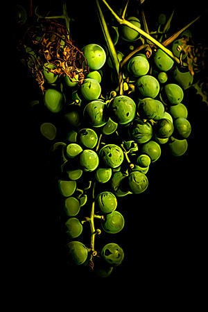 Grapes