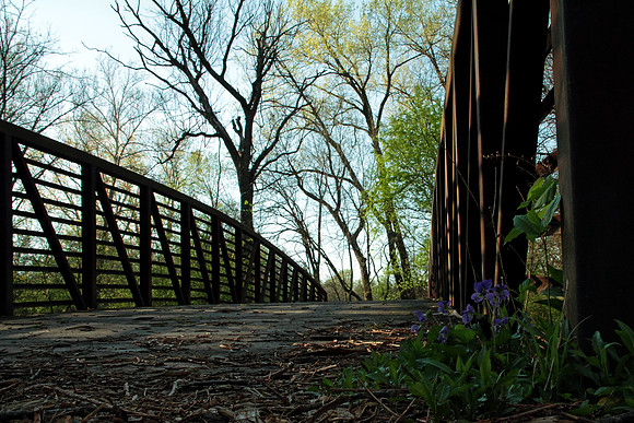 violet bridge