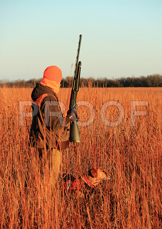 Concordia pheasant hunting