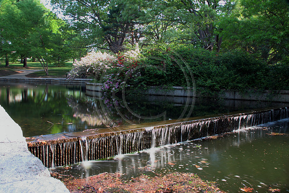 loosepark 2011may3