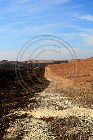 two on trail