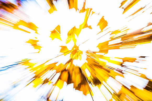 untitled-4