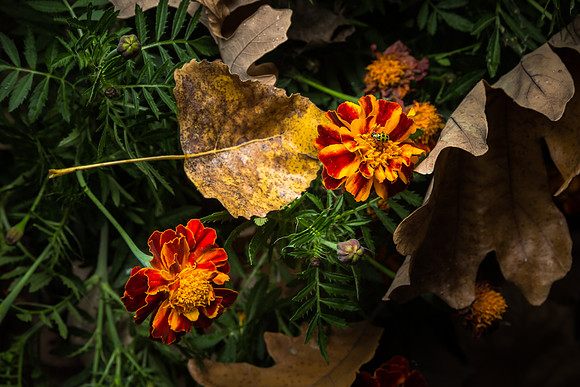 untitled-14