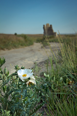 Castle Rock