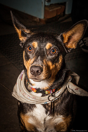 wood's distillery 09052014-12