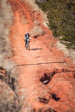 2019 land run 100-375