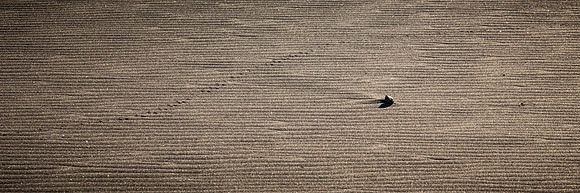 The Great Sand Dunes National Park 09042014-20