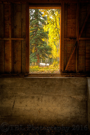 Old Mill Window